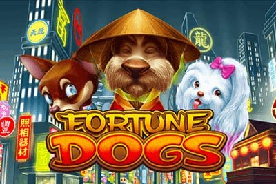 Demo Dog Fortune